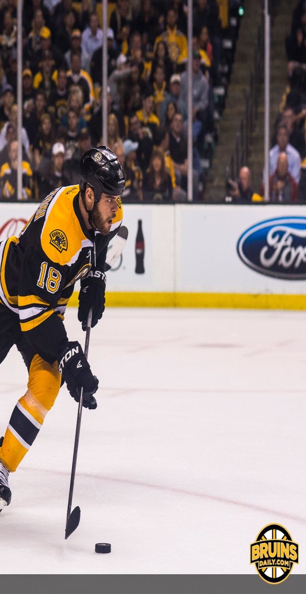 Black and Gold need to re-sign Nathan Horton