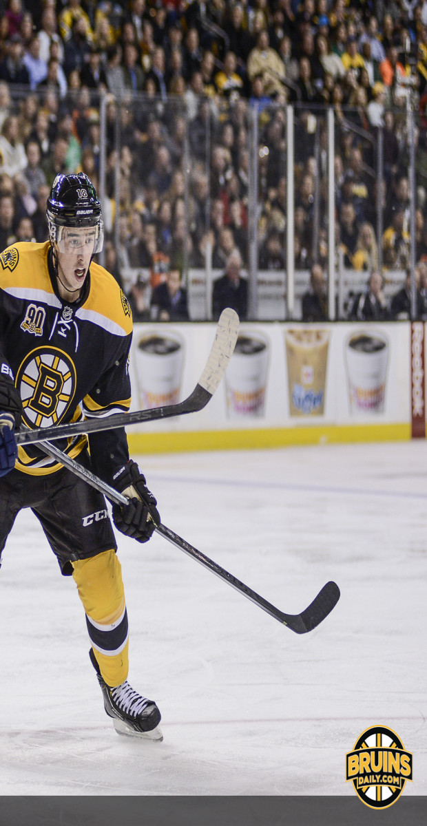 Three takeaways: Bruins-Blues
