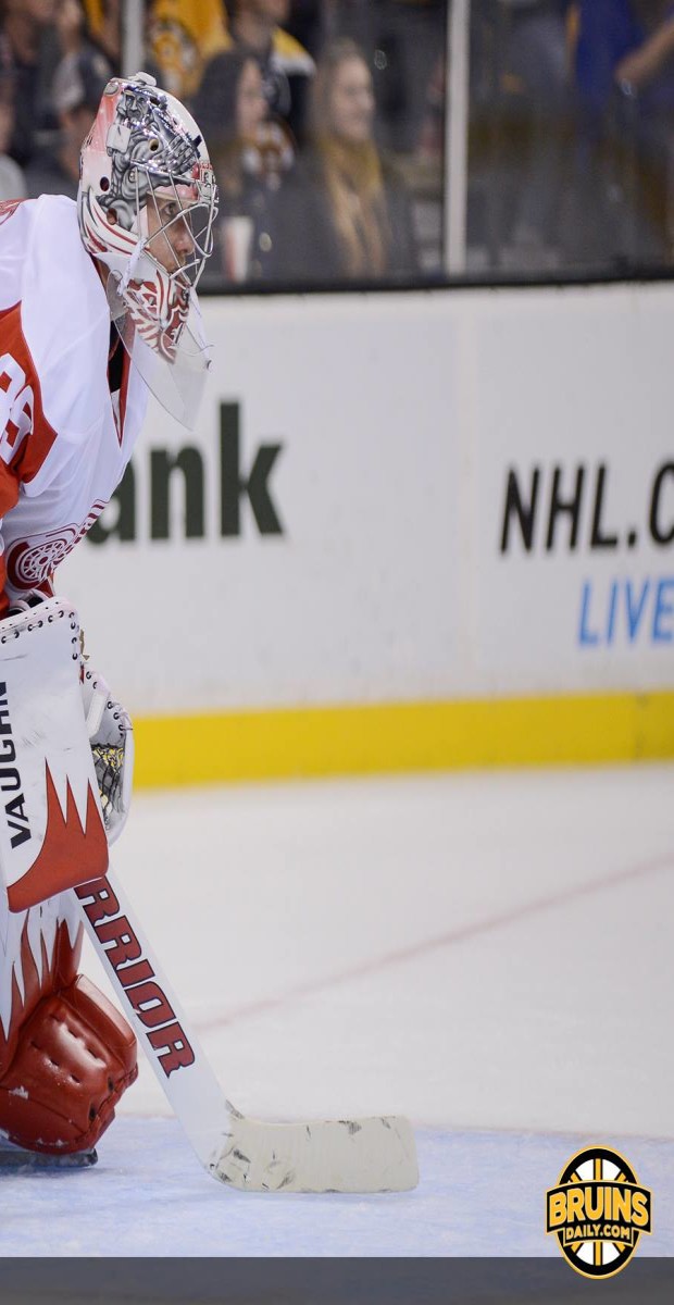 Getting to know the Detroit Red Wings