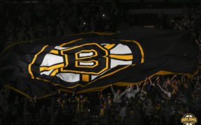 Bruins home ice