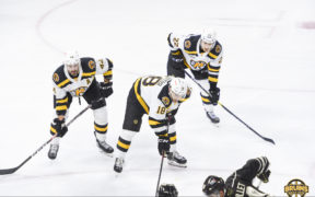 Providence Bruins leave points