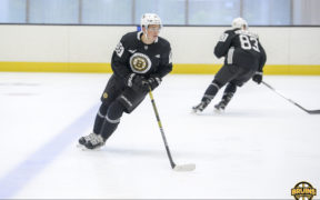 2021 Bruins opening roster