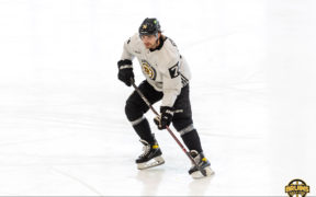 Bruins-Capitals preseason takeaways