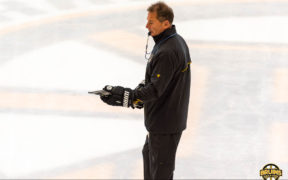 Bruce Cassidy defensive pairings